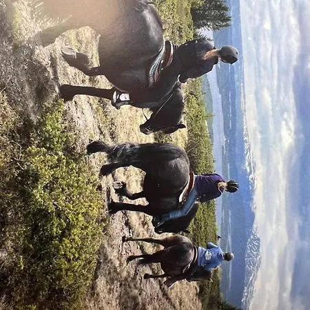 Out In Luxus Apartment Hemsedal